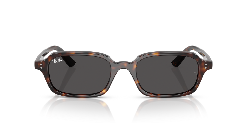 Ray-Ban ZURI RB4455 - Havana / Tortoise