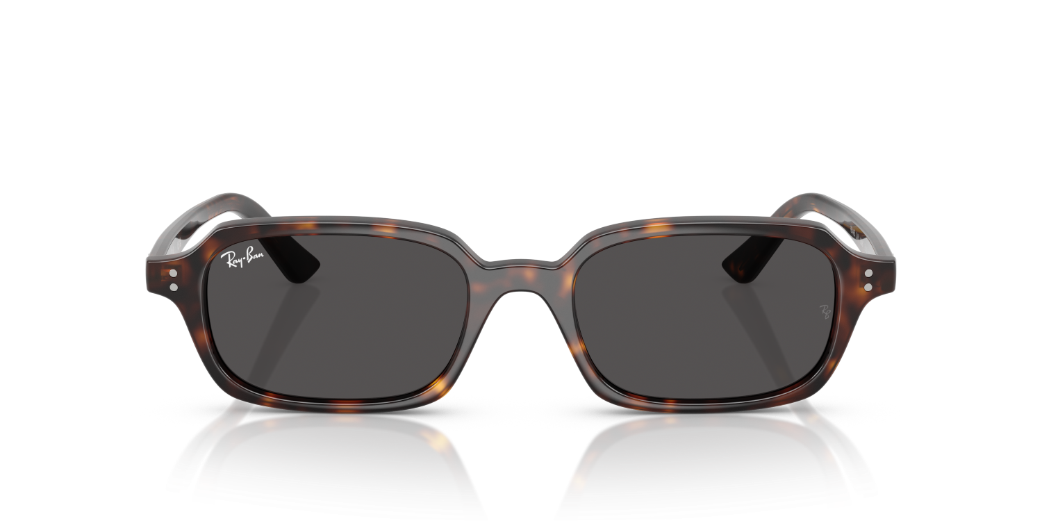Ray-Ban ZURI RB4455 - Havana / Tortoise