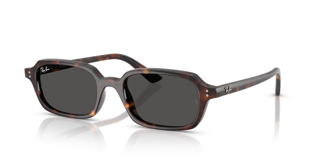 Ray-Ban ZURI RB4455 - Havana / Tortoise