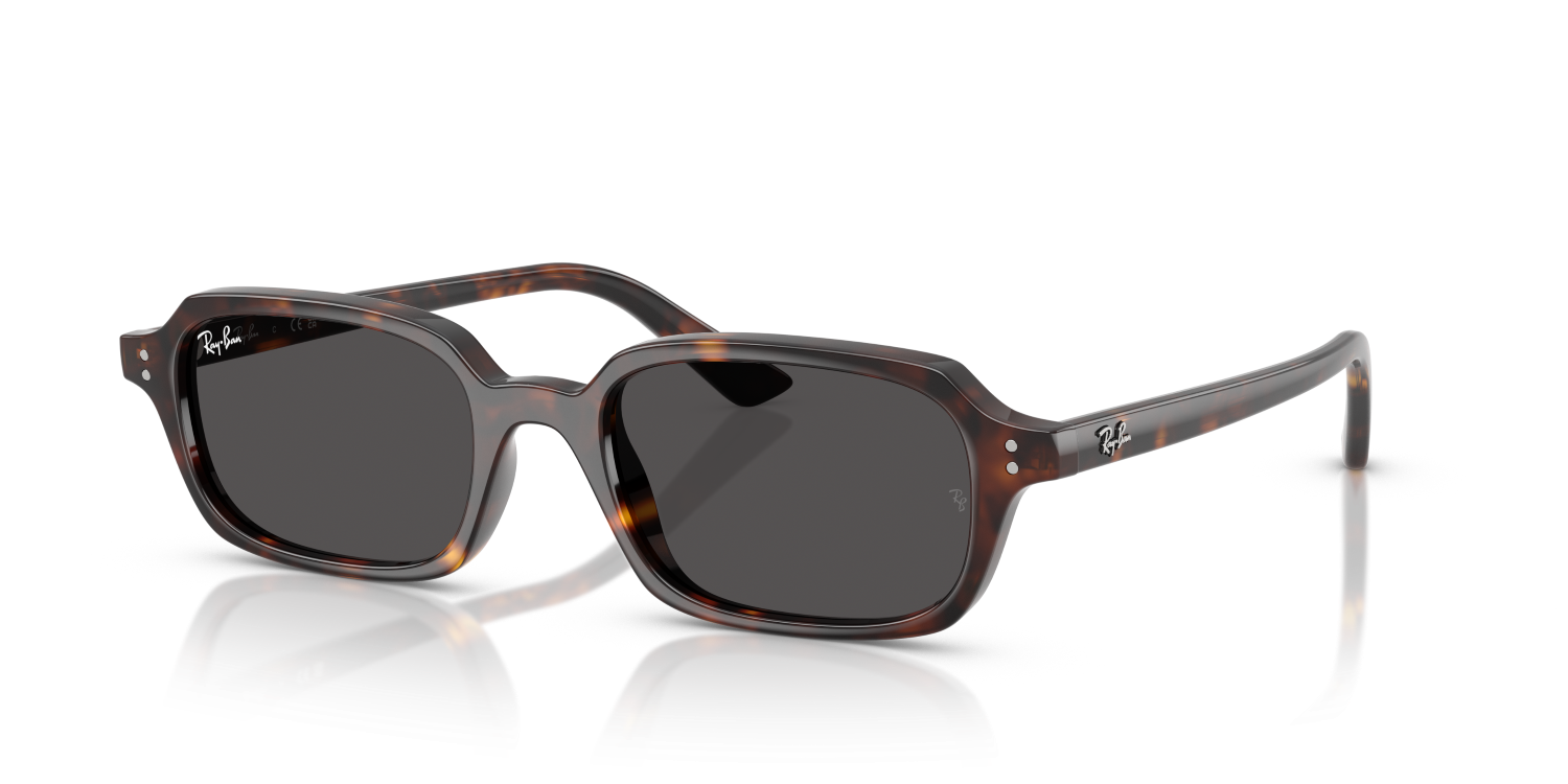 Ray-Ban ZURI RB4455 - Havana / Tortoise