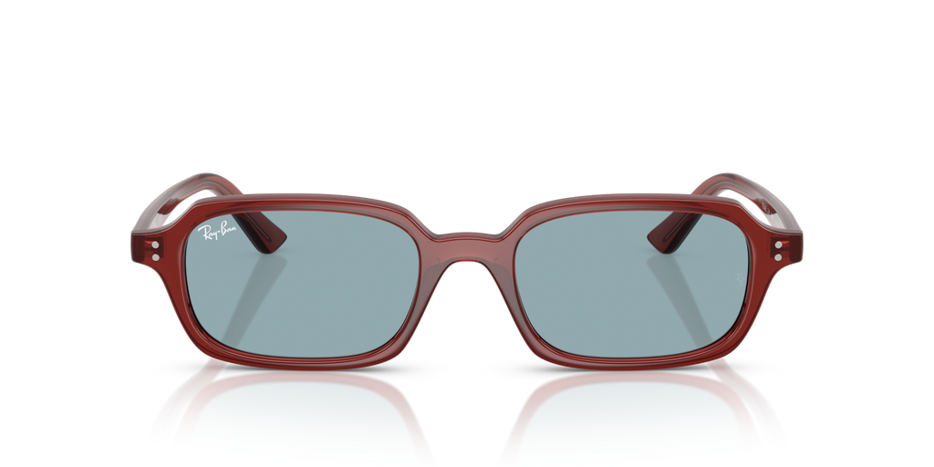 Ray-Ban ZURI RB4455 - Rusty Brown / Brown