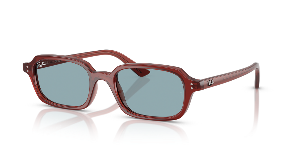 Ray-Ban ZURI RB4455 - Rusty Brown / Brown