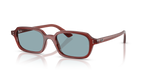 Ray-Ban ZURI RB4455 - Rusty Brown / Brown