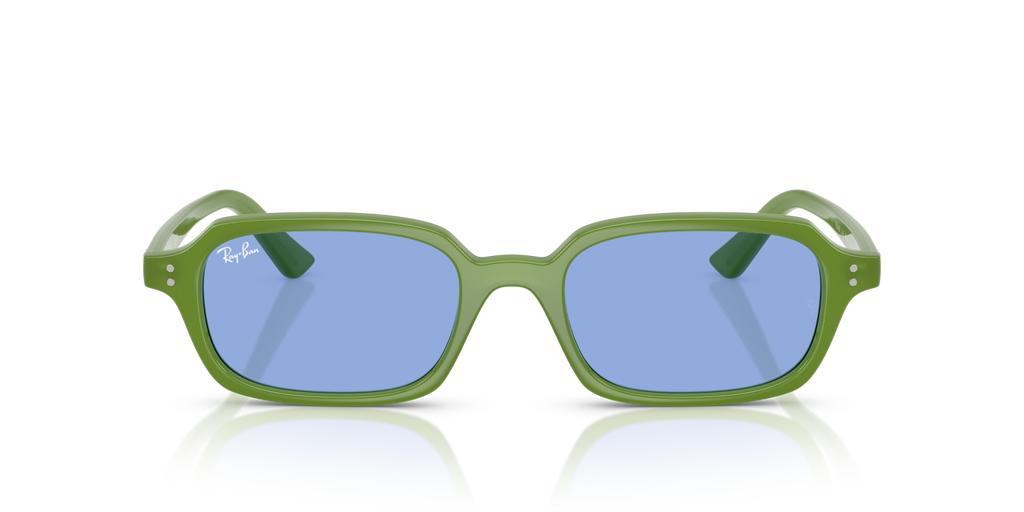 Ray-Ban ZURI RB4455 - Cloudy Jungle Green / Green