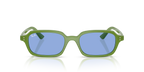 Ray-Ban ZURI RB4455 - Cloudy Jungle Green / Green
