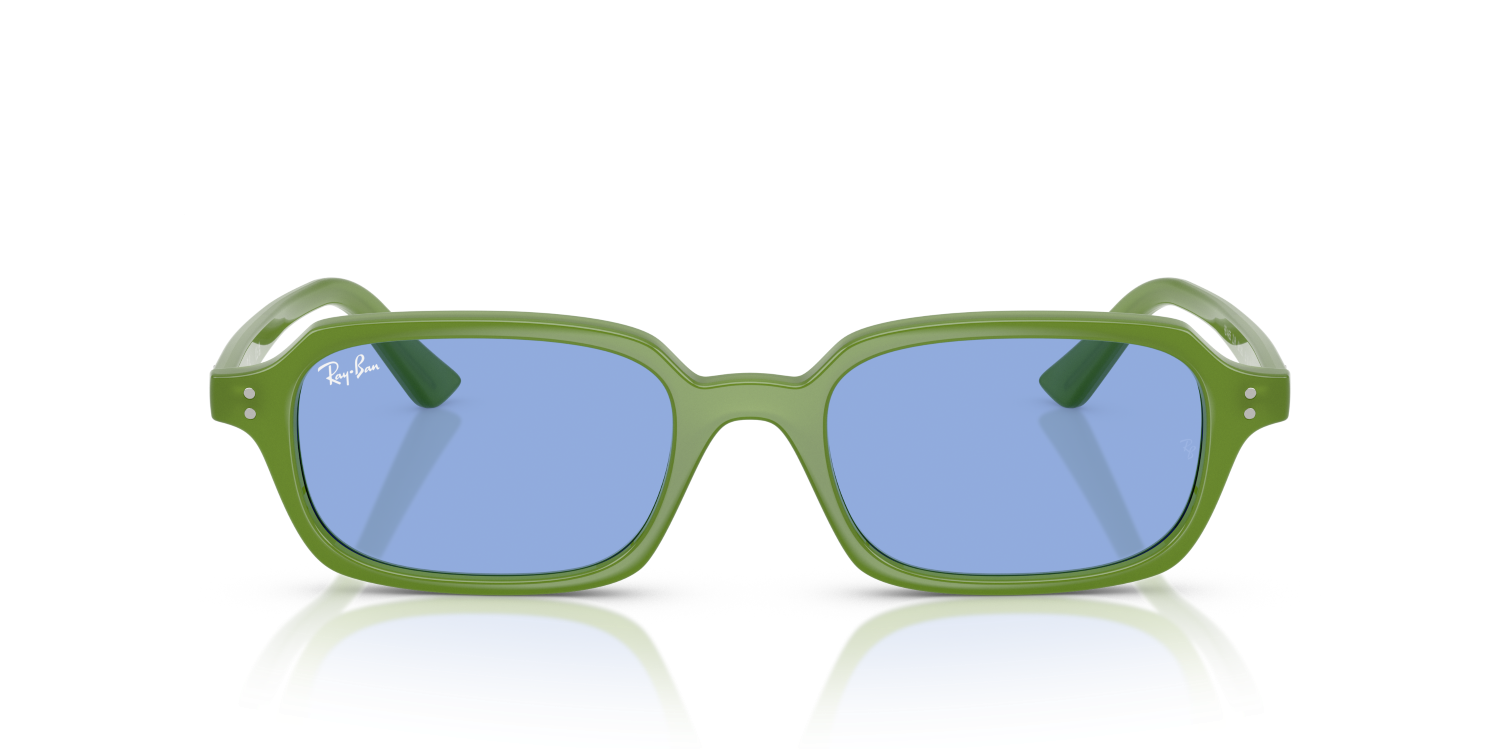 Ray-Ban ZURI RB4455 - Cloudy Jungle Green / Green