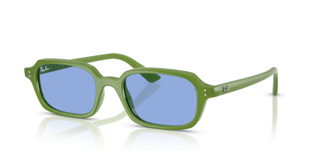 Ray-Ban ZURI RB4455 - Cloudy Jungle Green / Green