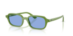 Ray-Ban ZURI RB4455 - Cloudy Jungle Green / Green