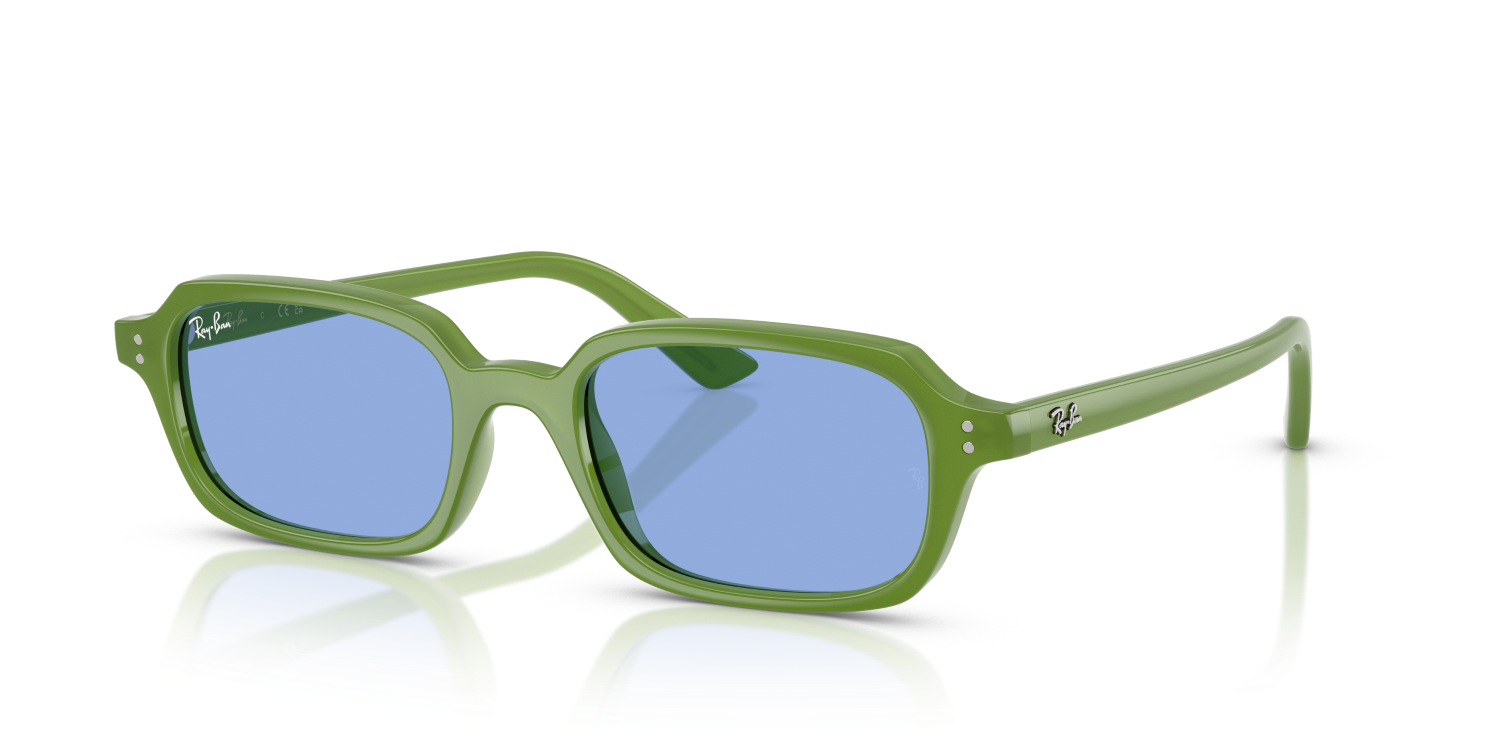 Ray-Ban ZURI RB4455 - Cloudy Jungle Green / Green
