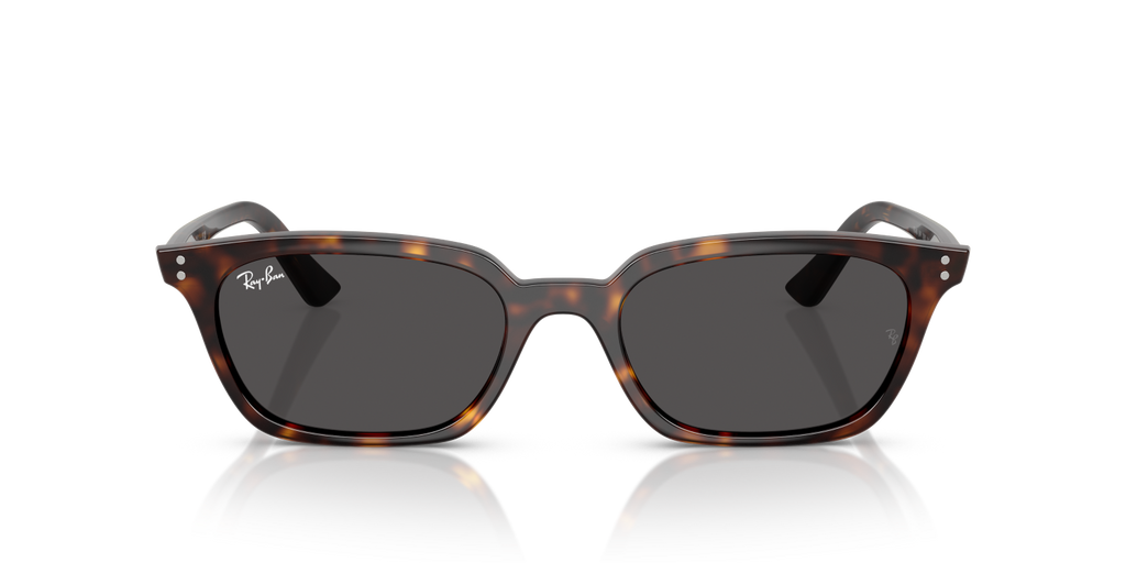 Ray-Ban ZAYA RB4456 - Havana / Tortoise