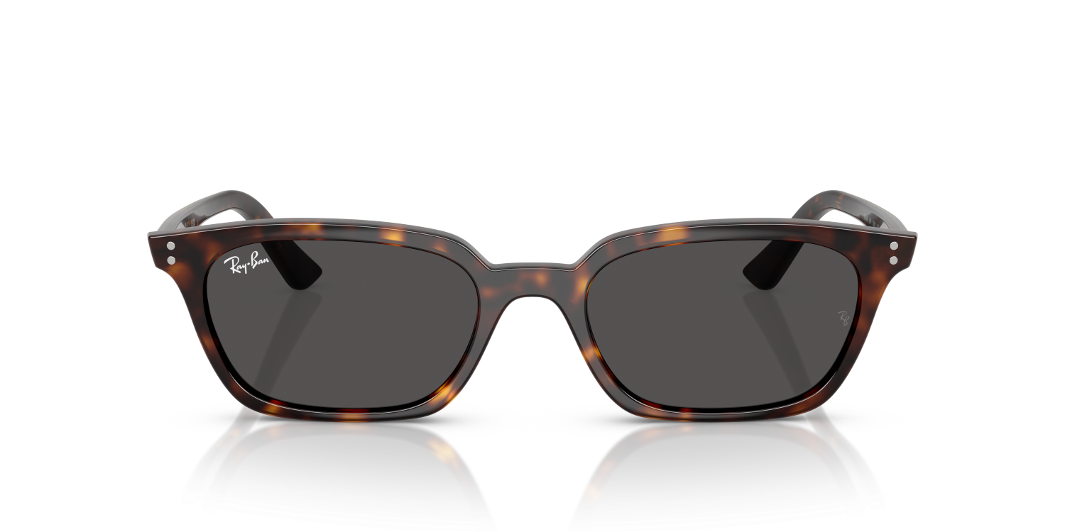 Ray-Ban ZAYA RB4456 - Havana / Tortoise