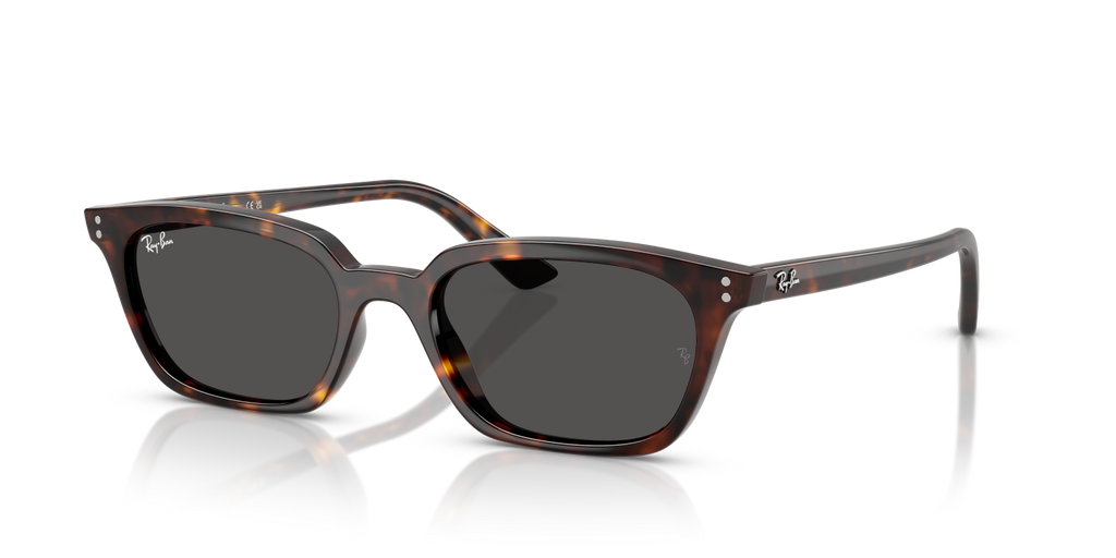 Ray-Ban ZAYA RB4456 - Havana / Tortoise