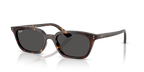 Ray-Ban ZAYA RB4456 - Havana / Tortoise