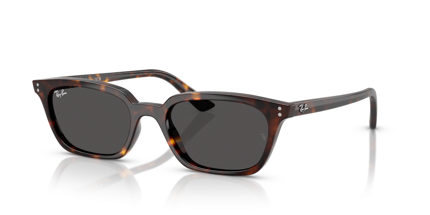 Ray-Ban ZAYA RB4456 - Havana / Tortoise