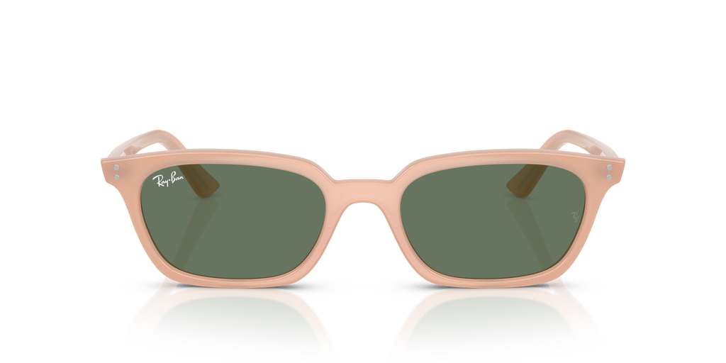 Ray-Ban ZAYA RB4456 - Cloudy Natural Pink / Pink