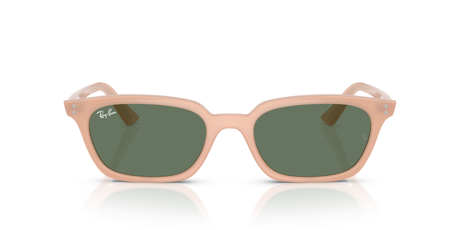 Ray-Ban ZAYA RB4456 - Cloudy Natural Pink / Pink