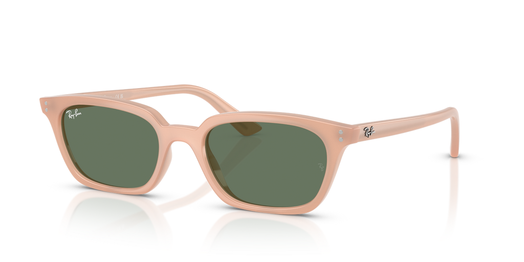 Ray-Ban ZAYA RB4456 - Cloudy Natural Pink / Pink