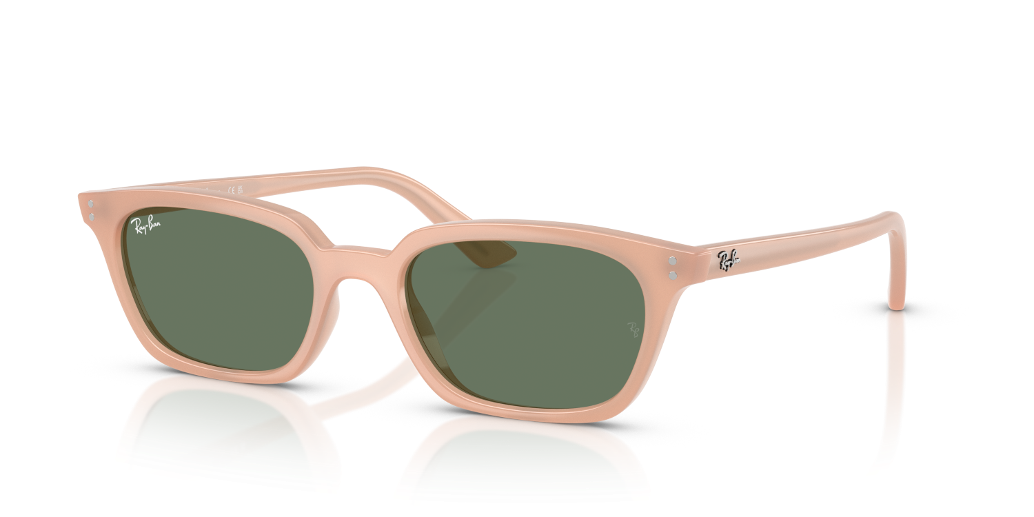Ray-Ban ZAYA RB4456 - Cloudy Natural Pink / Pink