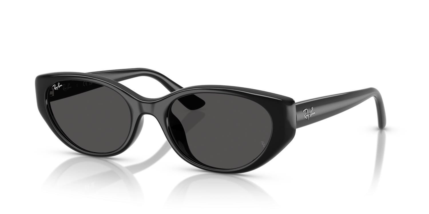 Ray-Ban RB4457D - Black / Black