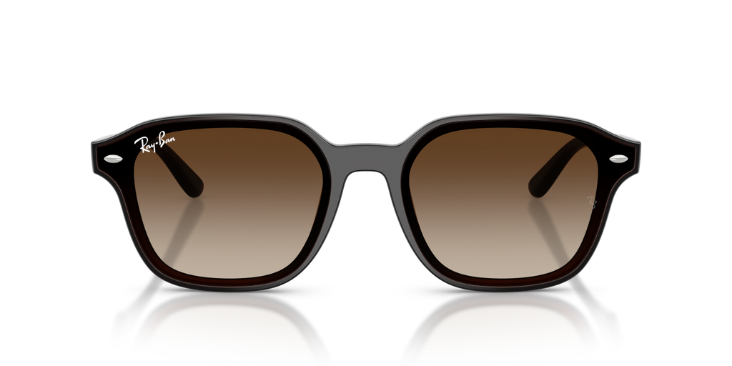 Ray-Ban RB4458D - Transparent Dark Brown / Brown