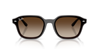 Ray-Ban RB4458D - Transparent Dark Brown / Brown