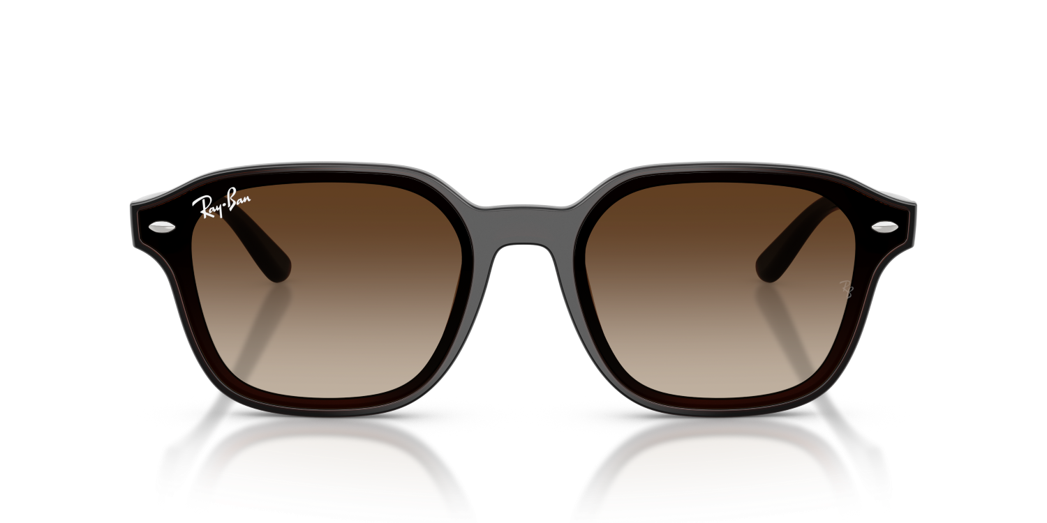 Ray-Ban RB4458D - Transparent Dark Brown / Brown
