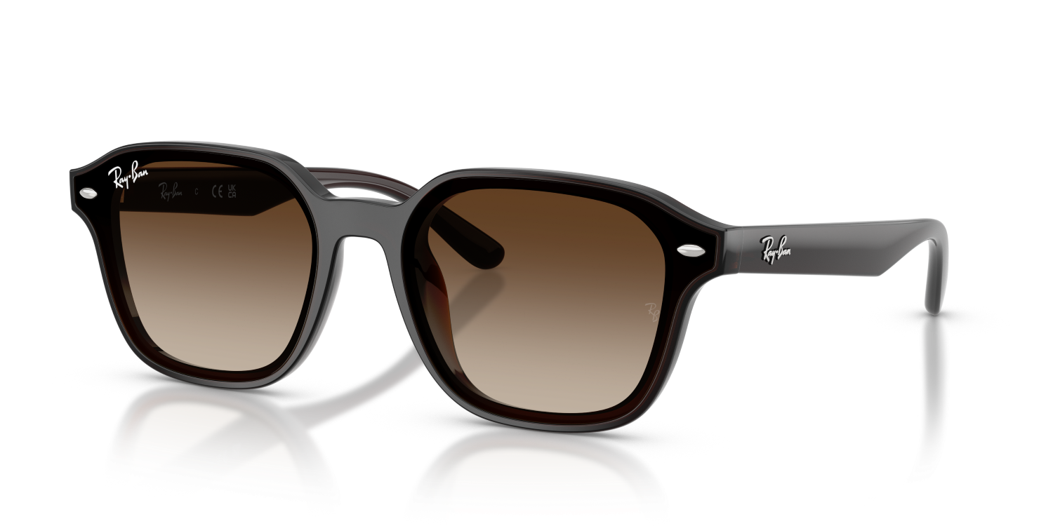 Ray-Ban RB4458D - Transparent Dark Brown / Brown