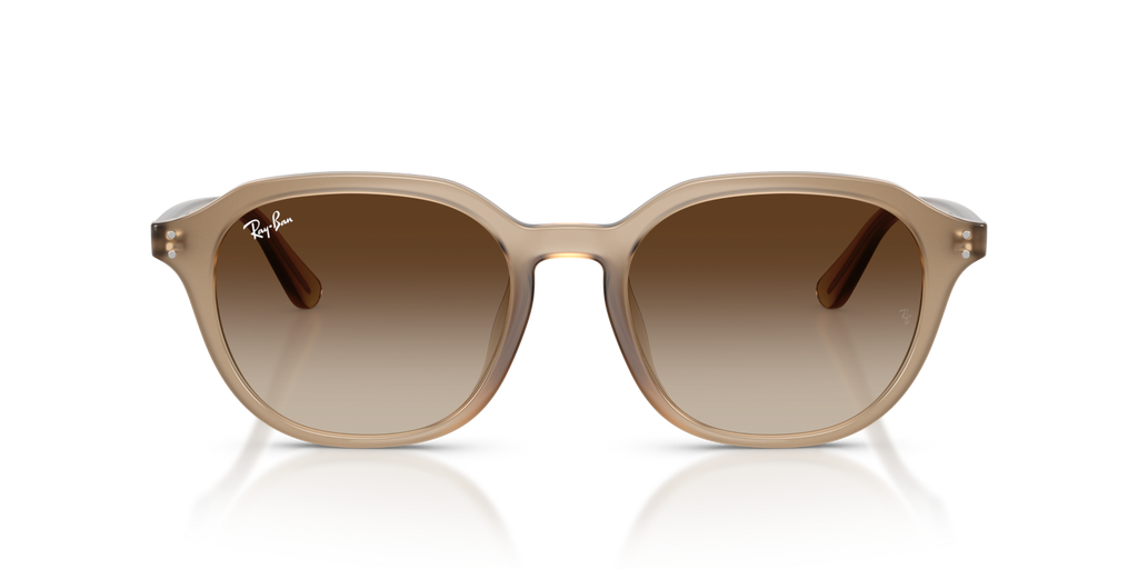 Ray-Ban RB4459D - Turtledove / Beige
