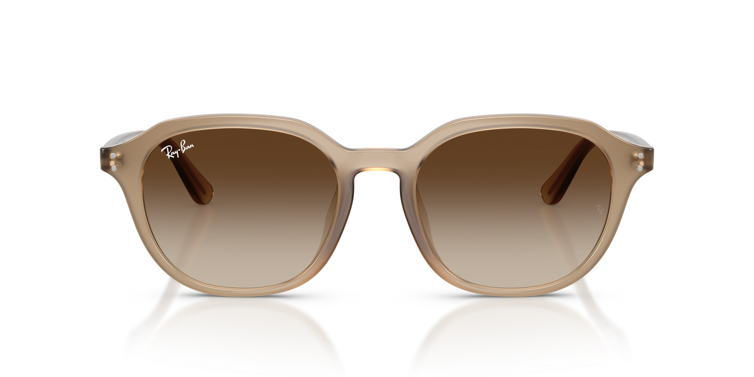 Ray-Ban RB4459D - Turtledove / Beige
