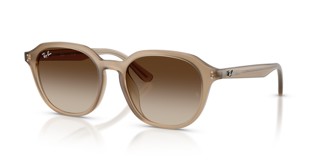 Ray-Ban RB4459D - Turtledove / Beige