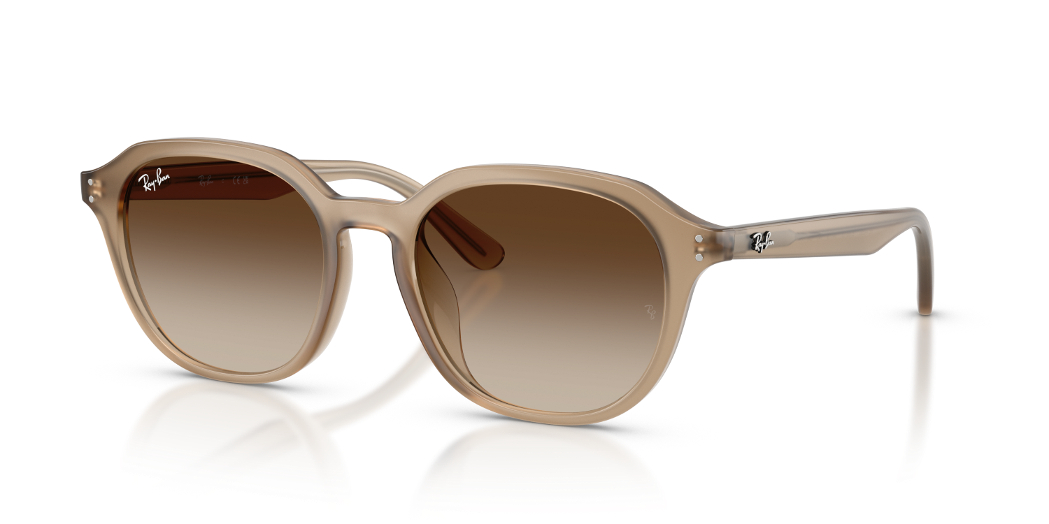Ray-Ban RB4459D - Turtledove / Beige