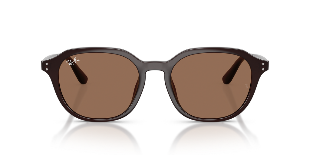 Ray-Ban RB4459D - Opal Brown / Brown