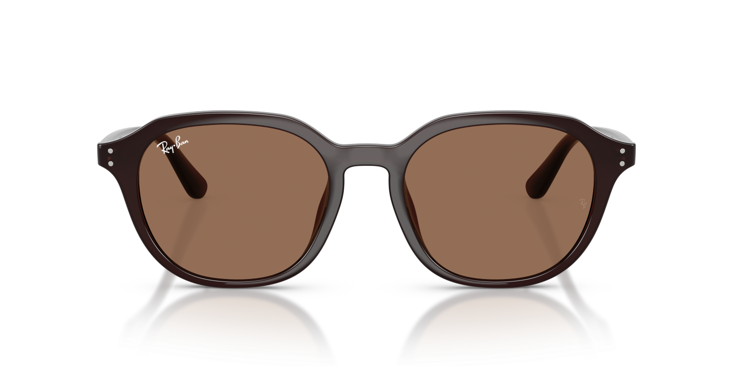 Ray-Ban RB4459D - Opal Brown / Brown