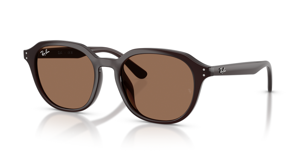 Ray-Ban RB4459D - Opal Brown / Brown