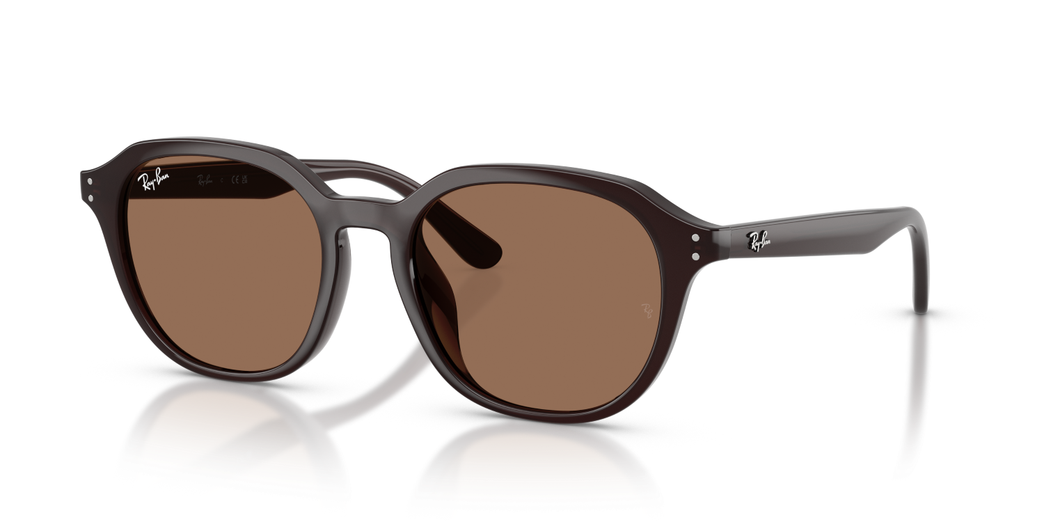 Ray-Ban RB4459D - Opal Brown / Brown
