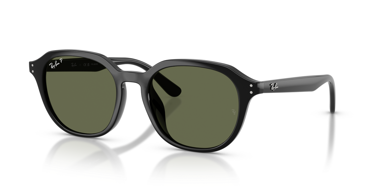 Ray-Ban RB4459D - Black / Black