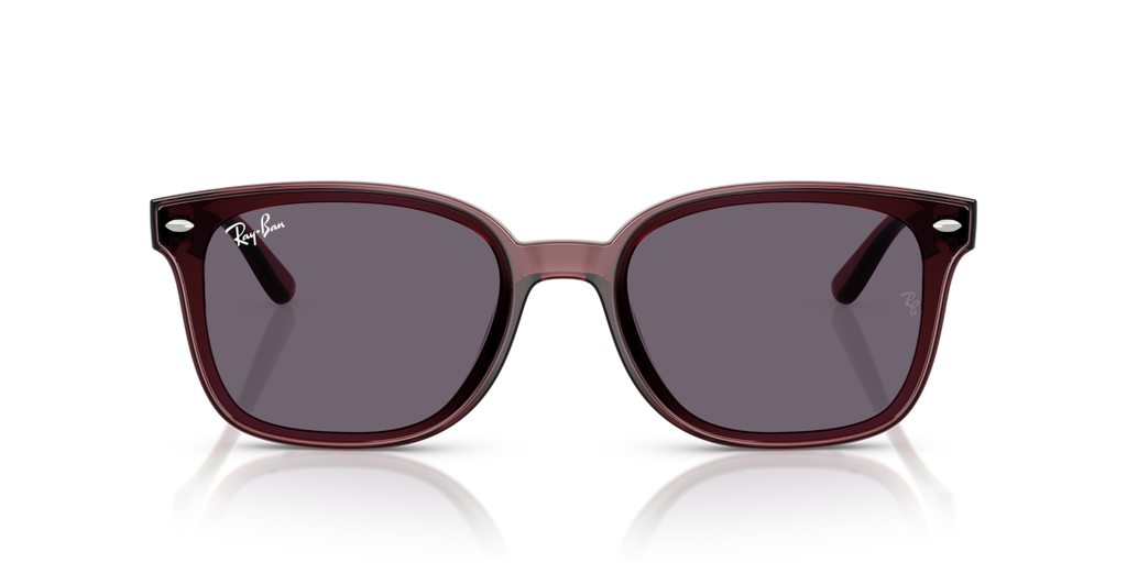 Ray-Ban RB4461D - Transparent Dark Brown / Brown