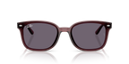 Ray-Ban RB4461D - Transparent Dark Brown / Brown