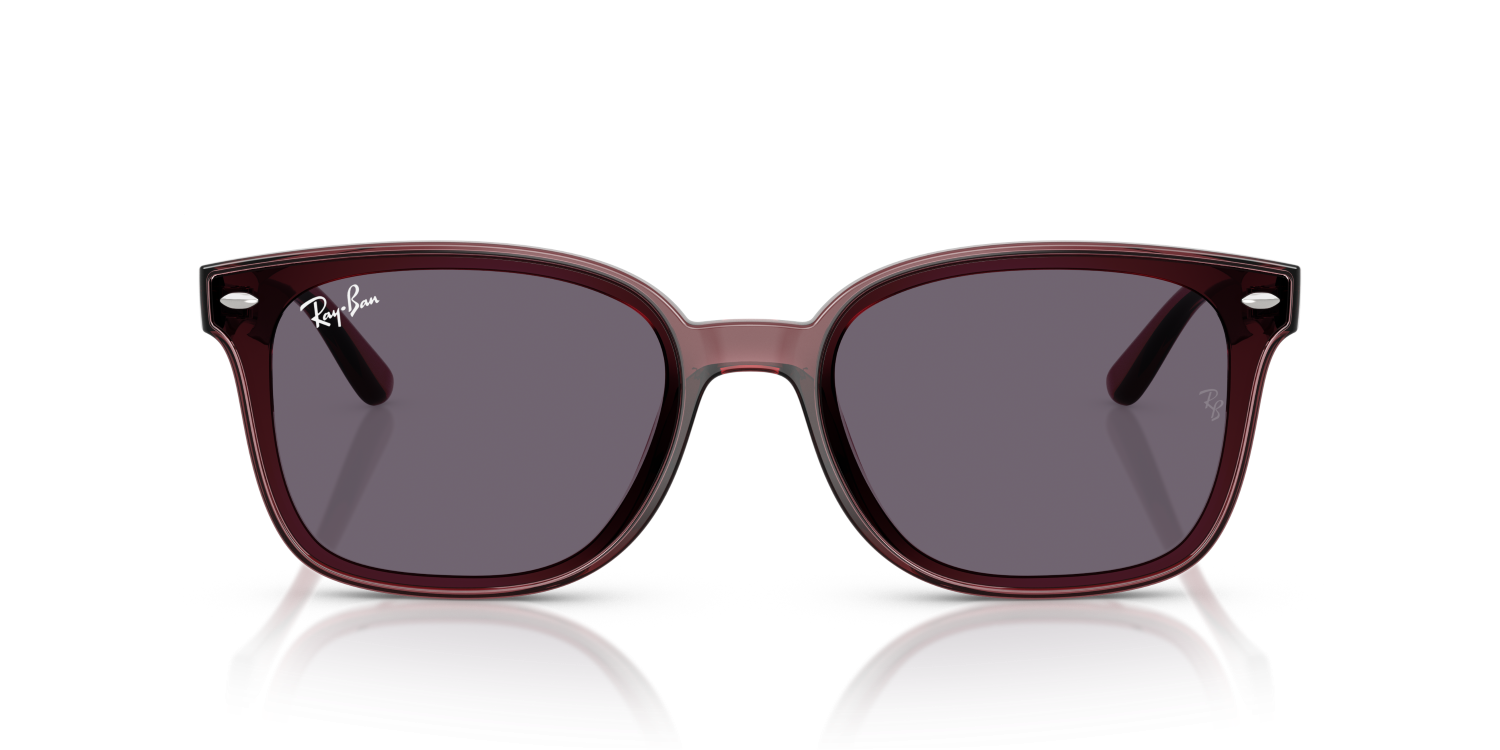 Ray-Ban RB4461D - Transparent Dark Brown / Brown