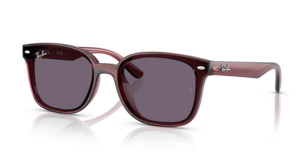 Ray-Ban RB4461D - Transparent Dark Brown / Brown