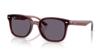 Ray-Ban RB4461D - Transparent Dark Brown / Brown