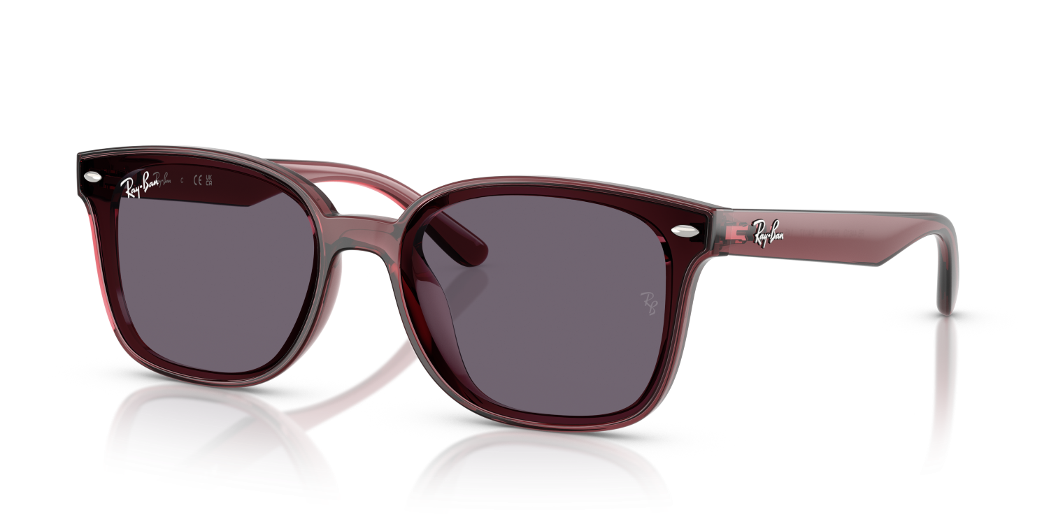 Ray-Ban RB4461D - Transparent Dark Brown / Brown