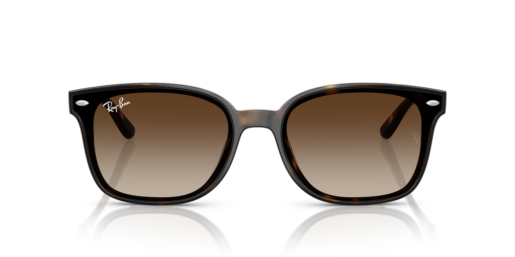 Ray-Ban RB4461D - Havana / Tortoise