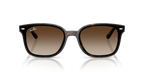 Ray-Ban RB4461D - Havana / Tortoise