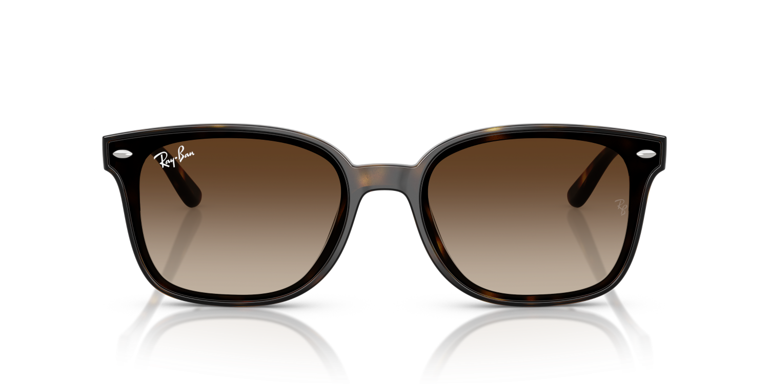 Ray-Ban RB4461D - Havana / Tortoise