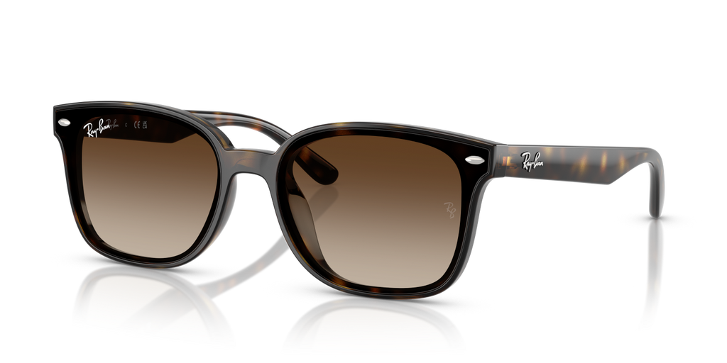 Ray-Ban RB4461D - Havana / Tortoise