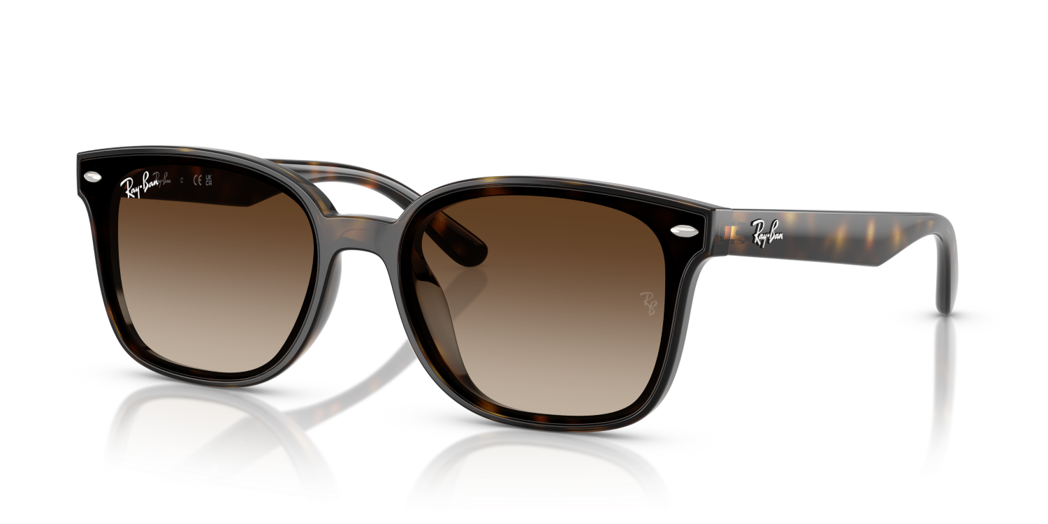 Ray-Ban RB4461D - Havana / Tortoise