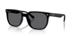 Ray-Ban RB4466D - Matte Black / Black