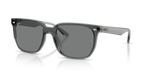 Ray-Ban RB4466D - Transparent Grey / Grey