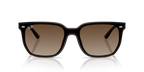 Ray-Ban RB4466D - Transparent Dark Brown / Brown